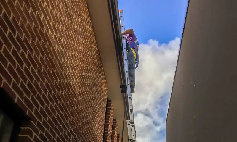 gutter cleaning